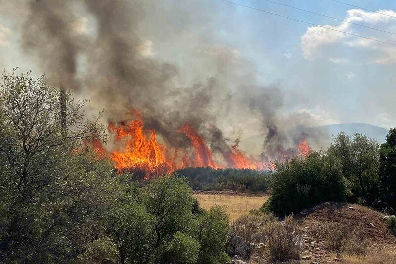 Mora Yarımadası’ndaki yangın söndürülemiyor: 1 ölü