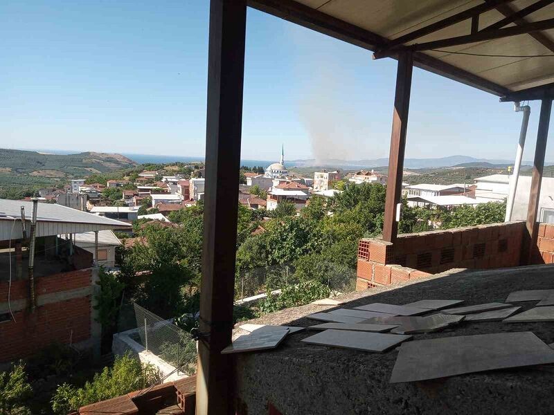 BURSA’NIN MUDANYA İLÇESİNDE ÇIKAN