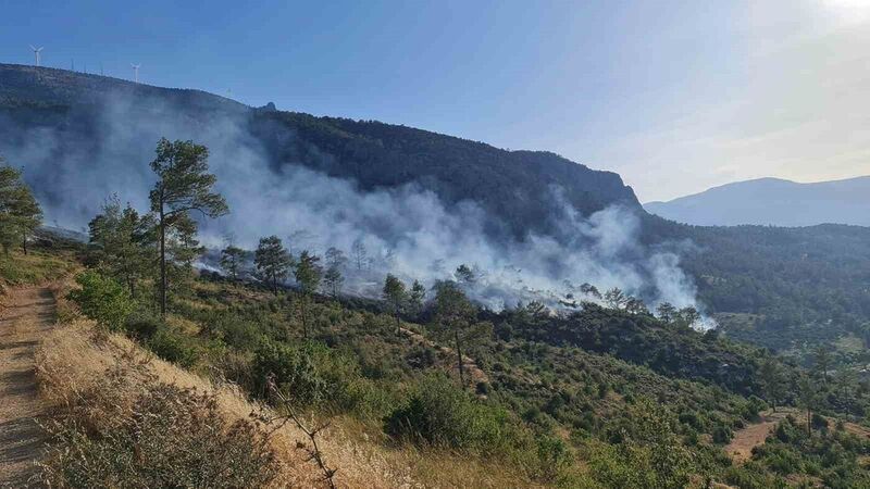 Mut’ta ormanlık alanda çıkan yangın kontrol altına alındı