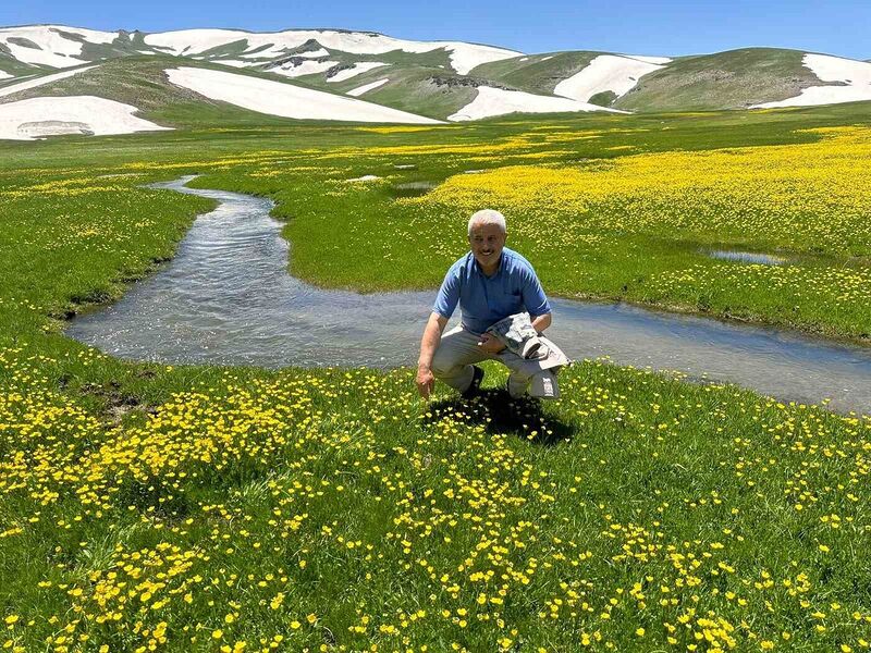 HAKKARİ’NİN ÖRDEKLİ KÖYÜ SINIRLARINDAKİ