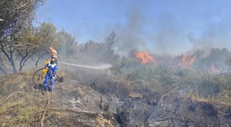 OSMANİYE KUŞ CENNETİNDE ÇIKAN