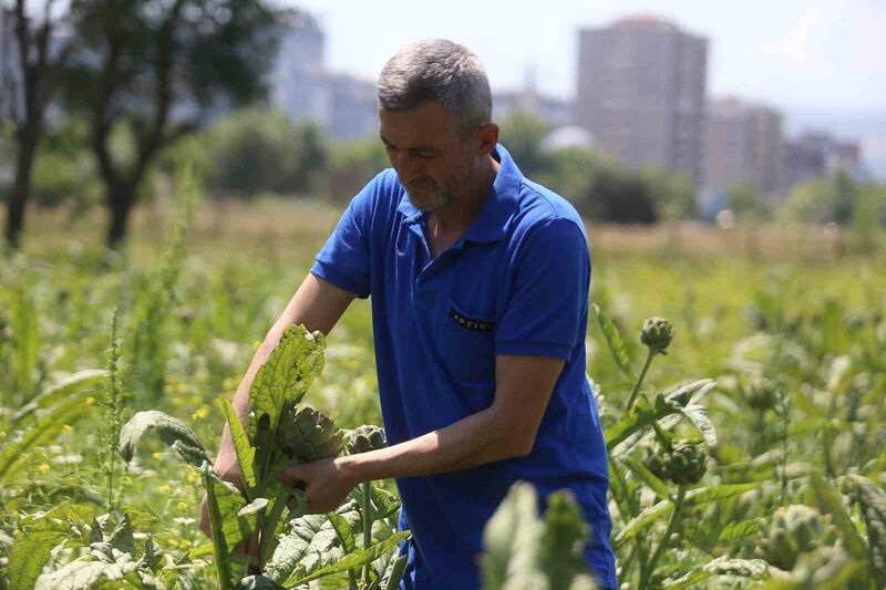 BURSA’NIN NİLÜFER İLÇESİNE BAĞLI