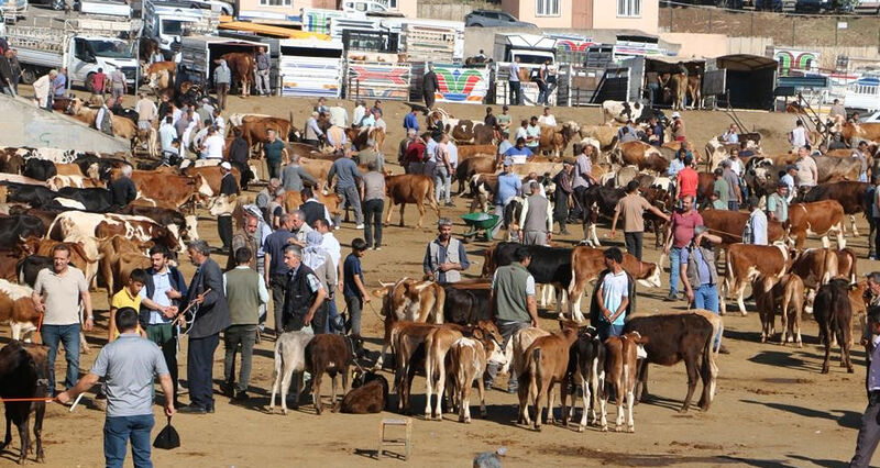 KURBAN BAYRAMI’NDA ‘ACEMİ’ KASAPLARA UYARI