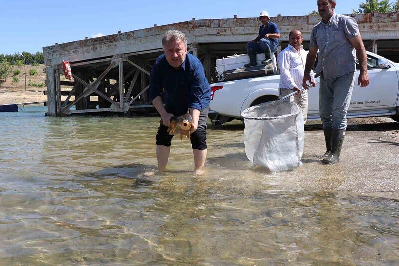 ELAZIĞ’DA SU ÜRÜNLERİ ARAŞTIRMA