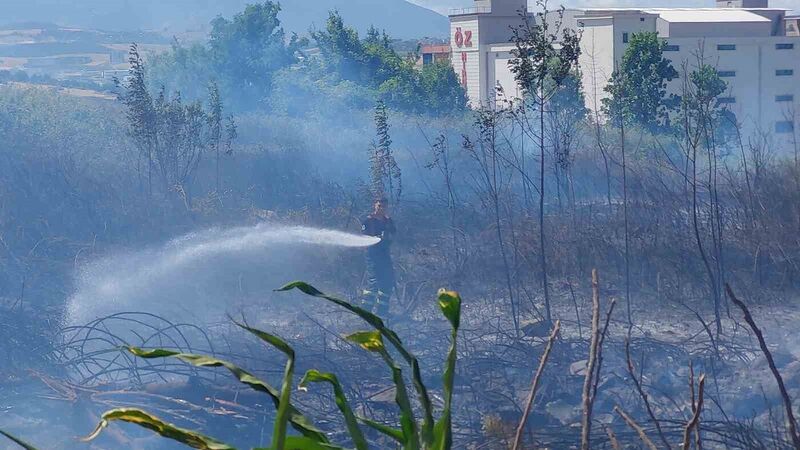 SAMSUN'DA BOŞ ARAZİDEKİ ÇALILIK