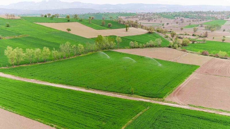 SAMSUN’DA 15 NİSAN’DA BAŞLAYAN