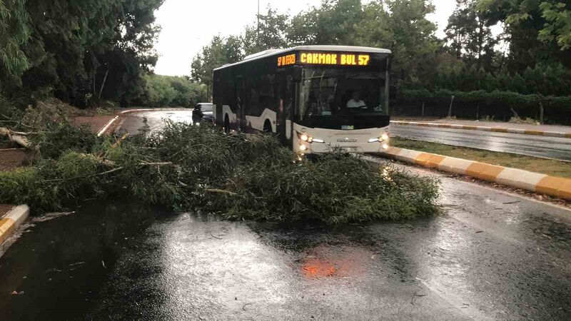 ŞANLIURFA’DA AKŞAM SAATLERİNDE ETKİLİ