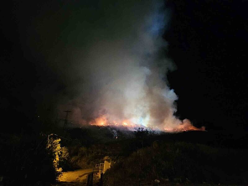 SARIYER FERAHEVLER MAHALLESİ’NDE OTLUK