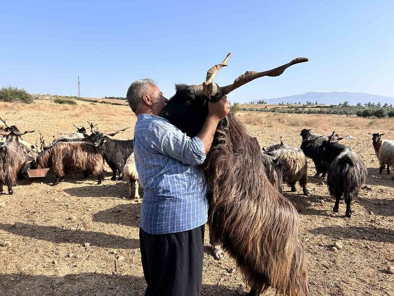 HATAY’DA KURBANLIKLARIM BENİ TANIYOR,