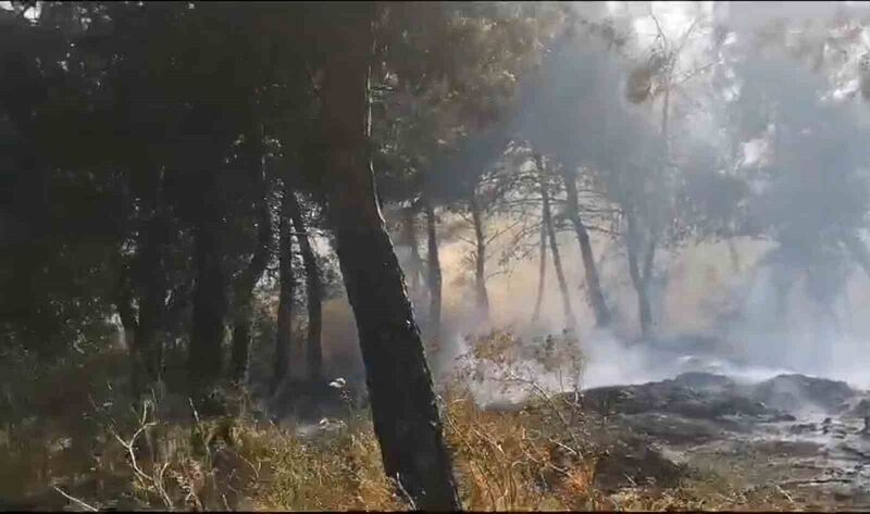 Savaştepe’de arazi yangını ormana sıçradı