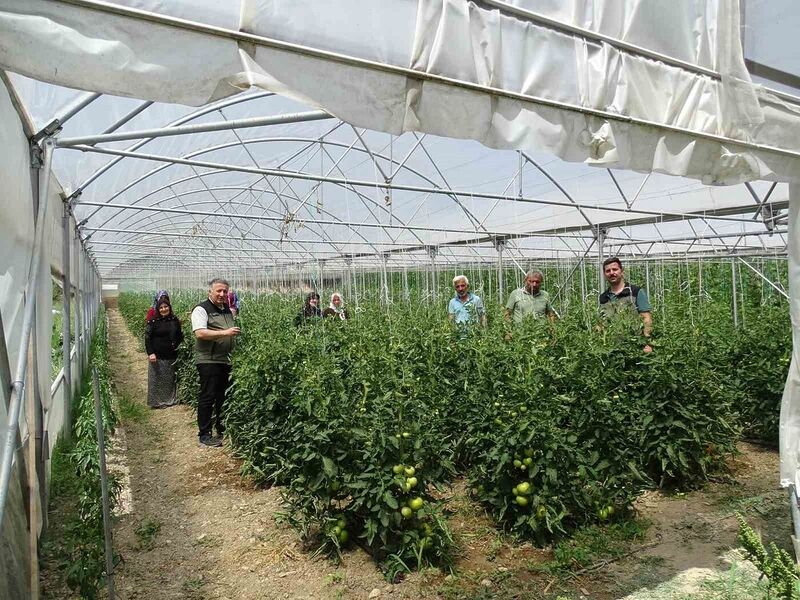 ZONGULDAK ORMAN BÖLGE MÜDÜRLÜĞÜNCE