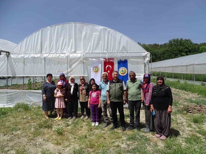 Seralardan ilk ürünler toplanmaya başladı