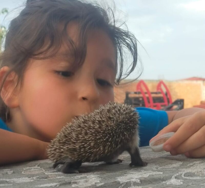 EDİRNE MERKEZE BAĞLI KARAYUSUF