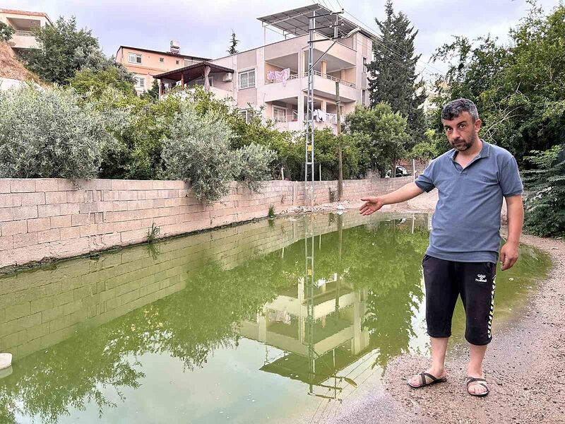 Su birikintisi yeşil renge büründü