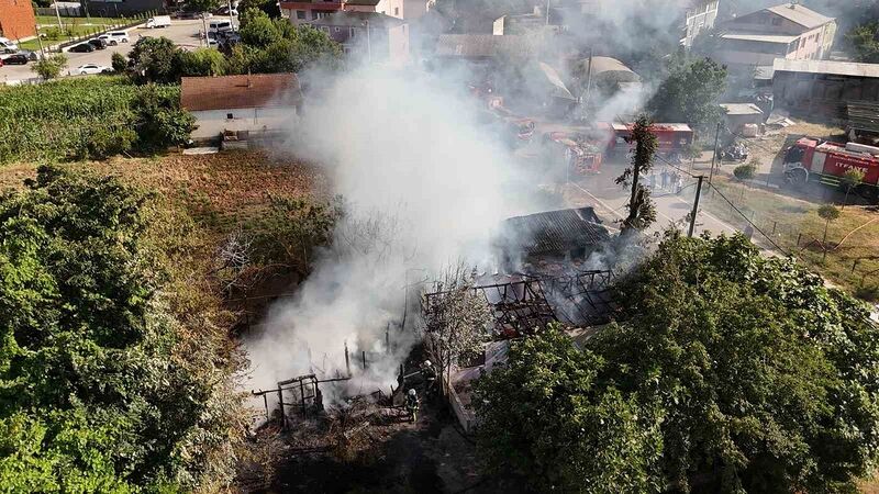 KOCAELİ'NİN BAŞİSKELE İLÇESİNDE TEK