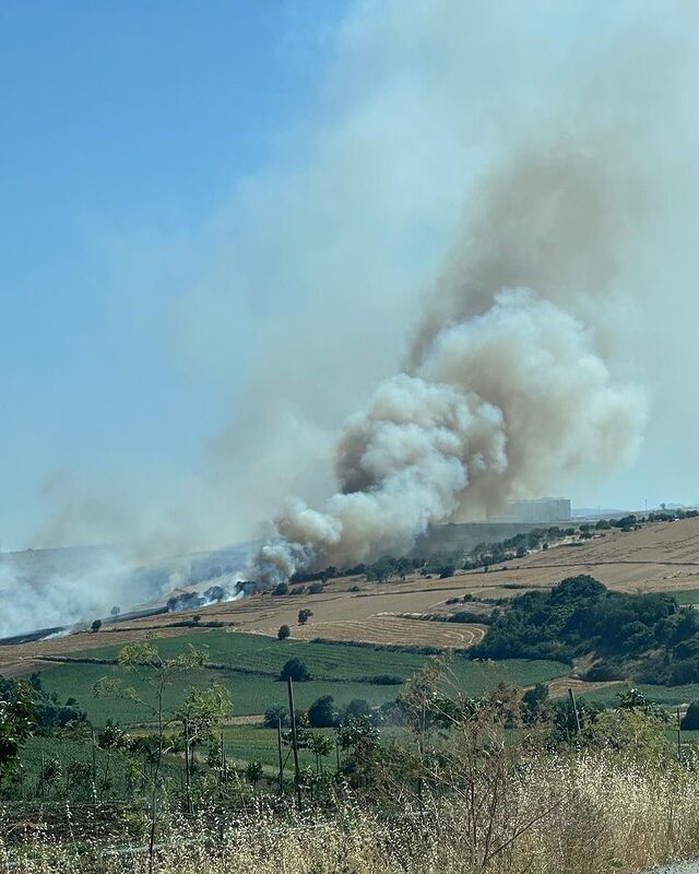 TEKİRDAĞ’DA BİR KISMI HASAT