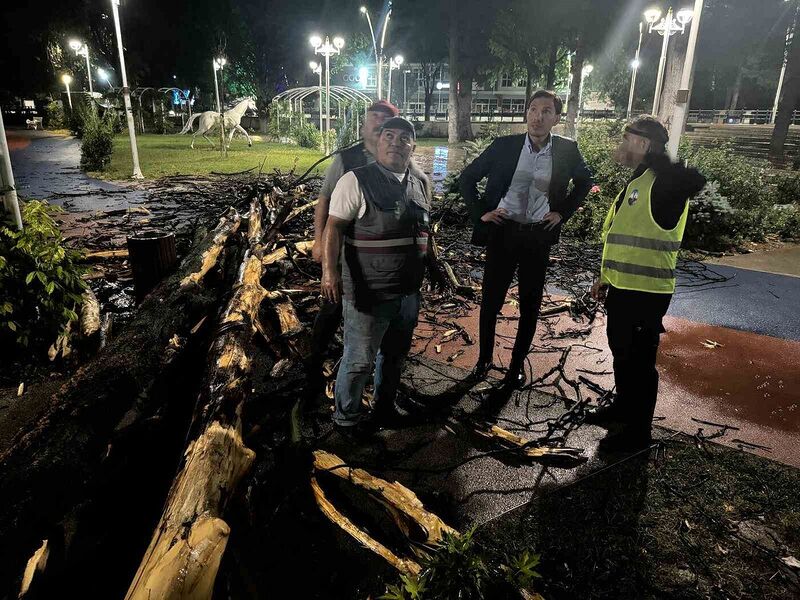 Tokat’ta fırtına ağaçları devirdi, çatıları uçurdu