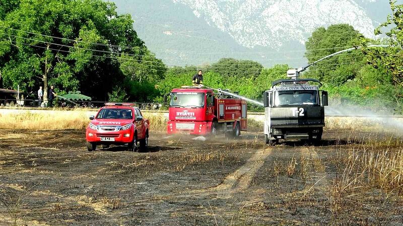 MUĞLA'NIN MENTEŞE İLÇESİNDE, OTLUK