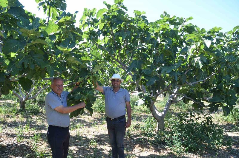 ANTALYA’NIN İBRADI İLÇESİNE BAĞLI