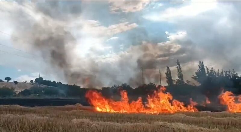 ADIYAMAN'IN GÖLBAŞI İLÇESİNDE ÇIKAN