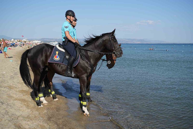 BALIKESİR'İN AYVALIK İLÇESİNİN DÜNYACA