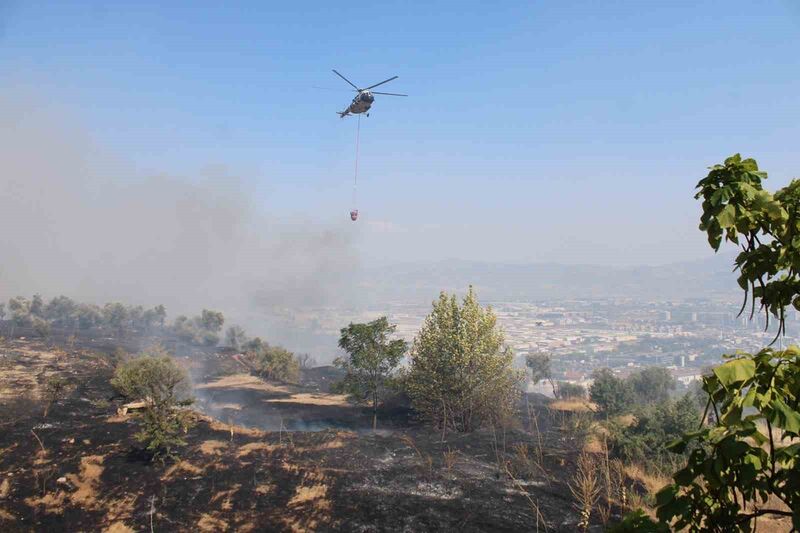 Aydın’da çıkan yangın üniversite kampüs alanına doğru ilerliyor