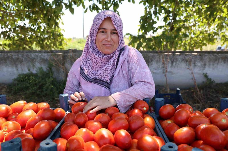 BÖLGENİN ÖNDE GELEN ÜRETİCİLERİNDEN