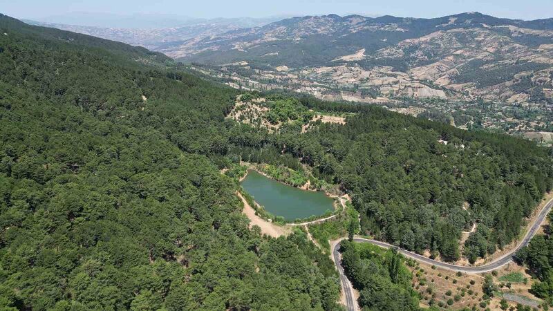 AYDIN'IN ULUDAĞ'I BELENOVA YAYLASI