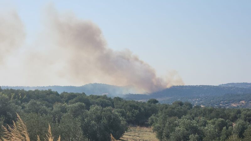 ÇANAKKALE’NİN AYVACIK İLÇESİNDE ORMANLIK