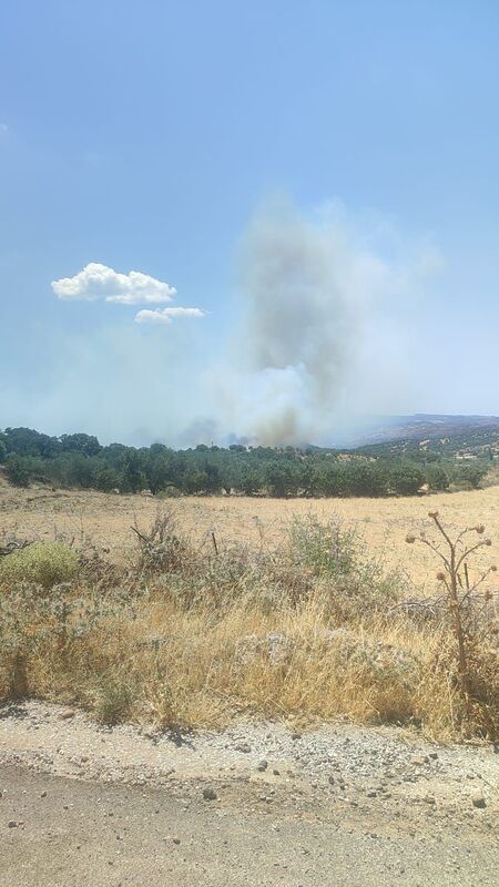 Ayvacık’ta zeytinlik alanda yangın