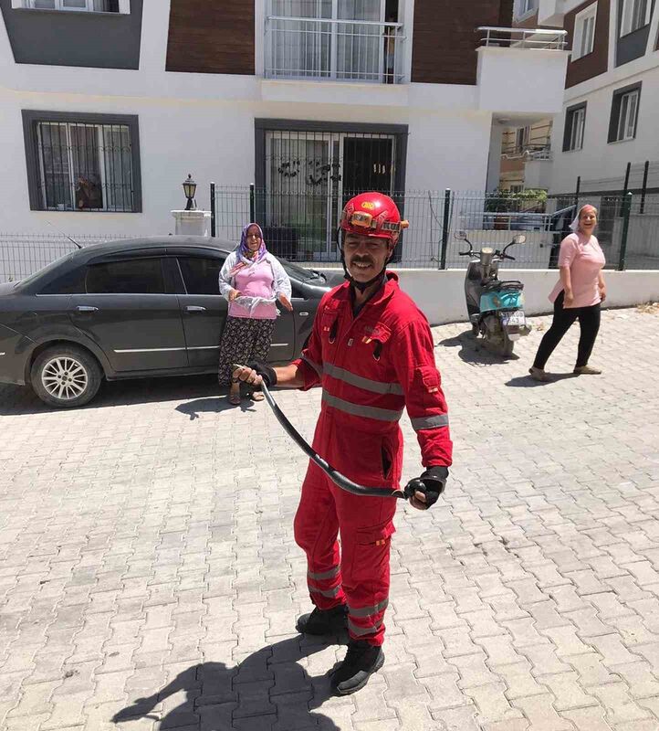 HATAY’DA BİR EVİN BAHÇESİNE