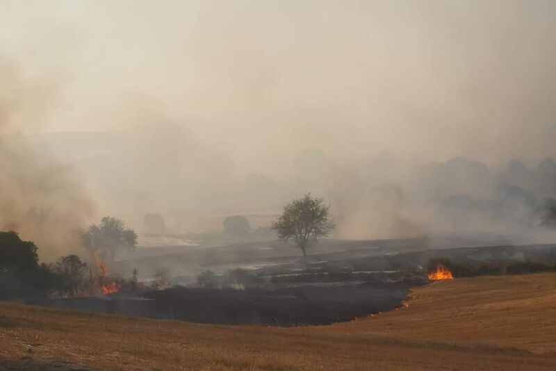 BALIKESİR'İN ALTIEYLÜL İLÇESİNDE MAKİLİK