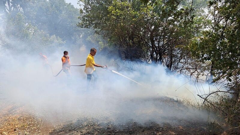 BALIKESİR'İN KEPSUT İLÇESİNDE ORMAN