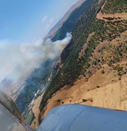 BALIKESİR'DE ORMAN YANGINI