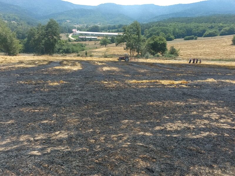 BOLU’DA SAÇCILAR KÖYÜNDE BALYA