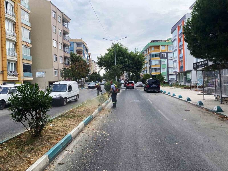 Başkan Nallar: “Herkes üstüne düşeni yapsın, şehrimize hep birlikte sahip çıkalım”