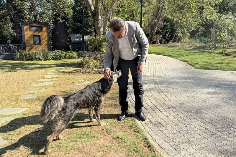 EFELER BELEDİYE BAŞKANI ANIL