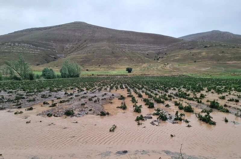 BAYBURT’TA DOLU EKİLİ ALANLARA