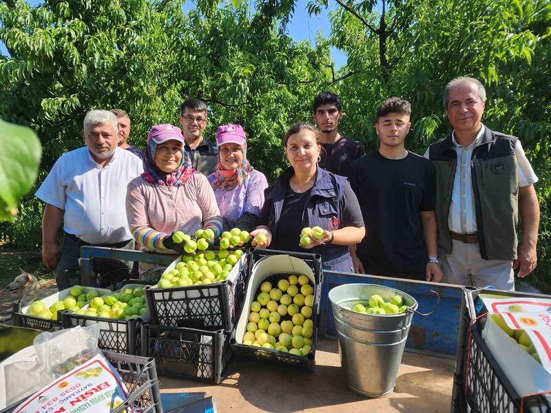 ÇANAKKALE’NİN BAYRAMİÇ İLÇESİNİN AVRUPA