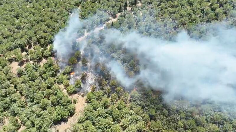 ÇANAKKALE'NİN BAYRAMİÇ İLÇESİNDE ÇIKAN