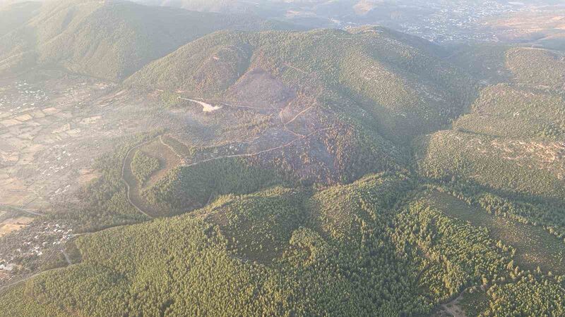 Bodrum’da orman yangına 18 saat sonra kontrol altına alındı