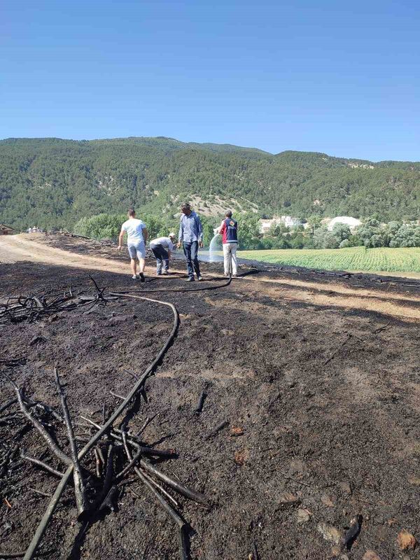 Bolu’da otluk arazide çıkan yangın söndürüldü