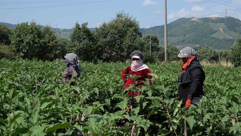 ORHANGAZİ’DE TARIM SEKTÖRÜNÜN EN