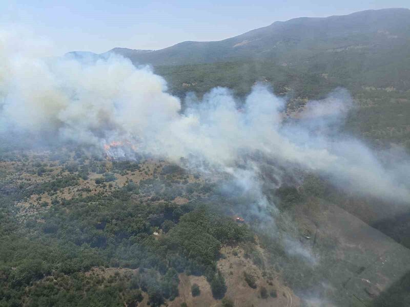 BURSA'NIN ORHANELİ İLÇESİNDE ORMANLIK