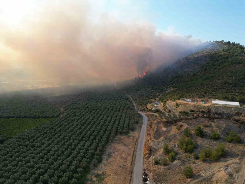 BURSA'NIN İZNİK İLÇESİNE BAĞLI