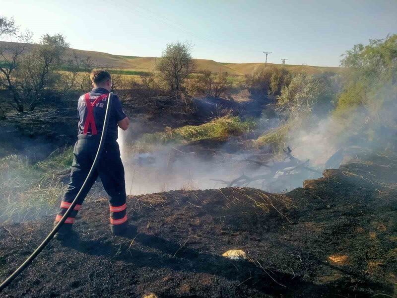 ÇANKIRI’DA BİR ARAZİDE ÇIKAN