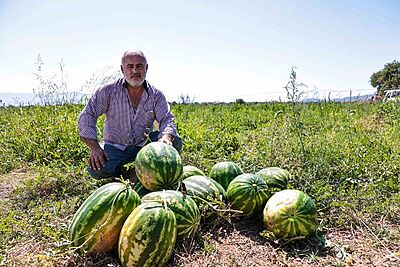 DENİZLİ BÜYÜKŞEHİR BELEDİYESİ, MALİYETLERİN