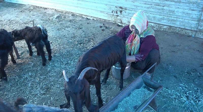 KAHRAMANMARAŞ MERKEZLİ DEPREMLERDE YAKLAŞIK