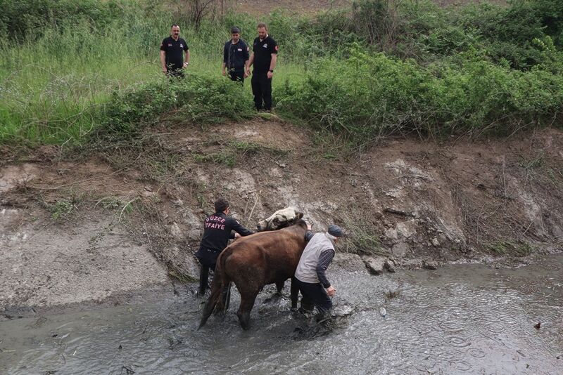 DÜZCE BELEDİYESİ İTFAİYE MÜDÜRLÜĞÜ,