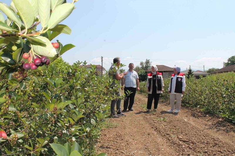 DÜZCE’DE FINDIĞI ALTERNATİF ÜRÜNLERİN